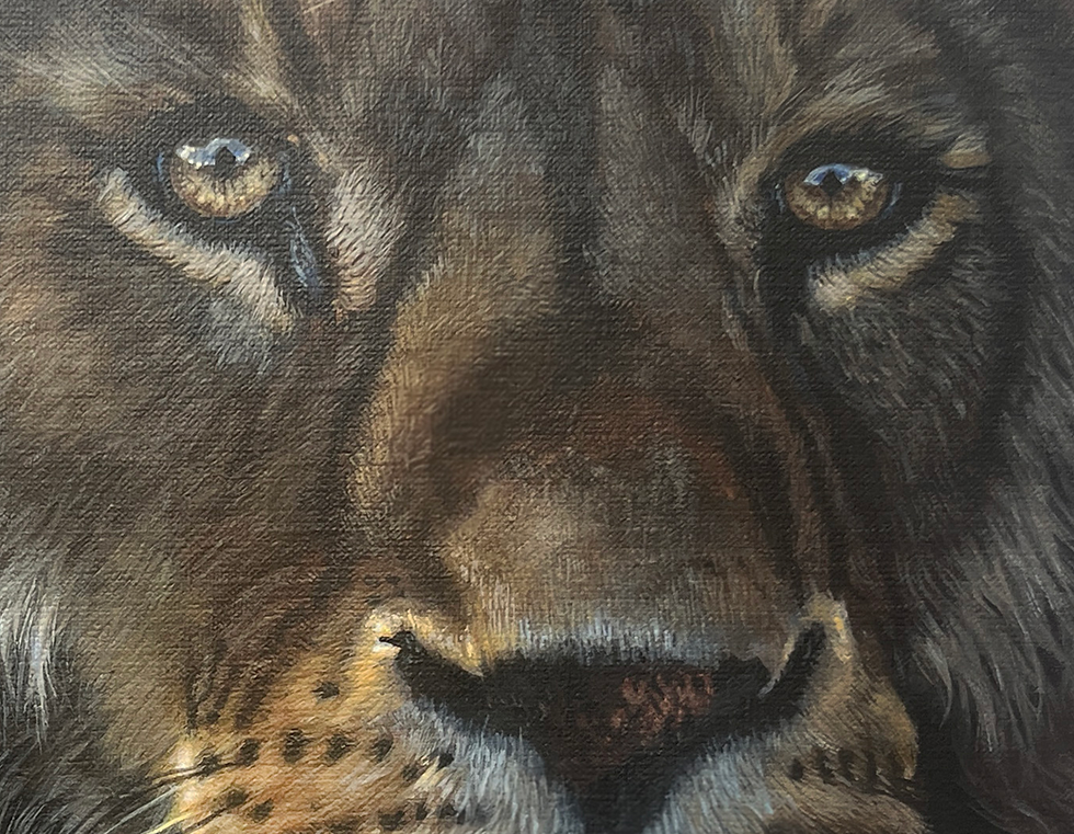 Thumbnail: Lion