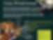 Wonderstruck_Parent Poster.jpg