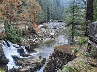 20201004_123025.jpg