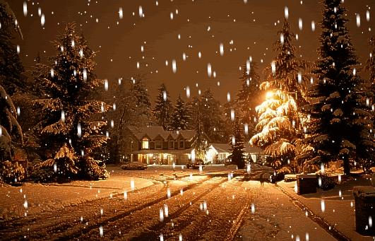 Lovely_Winter_Night_Animated_GIF_Image.g