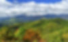 North-Carolina-Mount-Mitchell.jpg