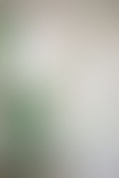 Our Motorized Blinds