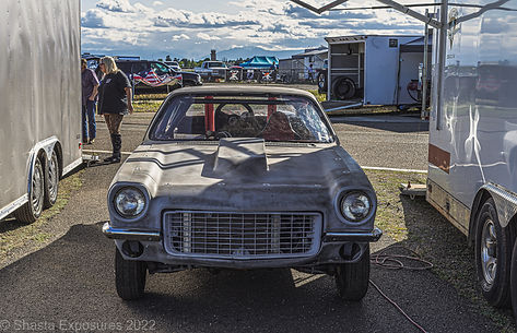 wilddog_042222 (5 of 5).jpg
