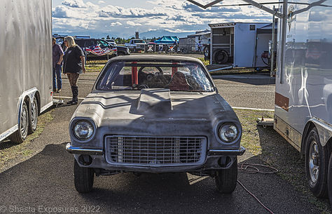wilddog_042222 (5 of 5).jpg