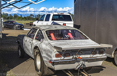 wilddog_042222 (4 of 5).jpg
