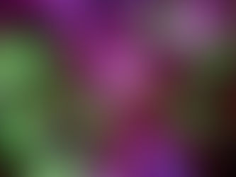 What is mastery in coaching?