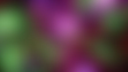 What is mastery in coaching?