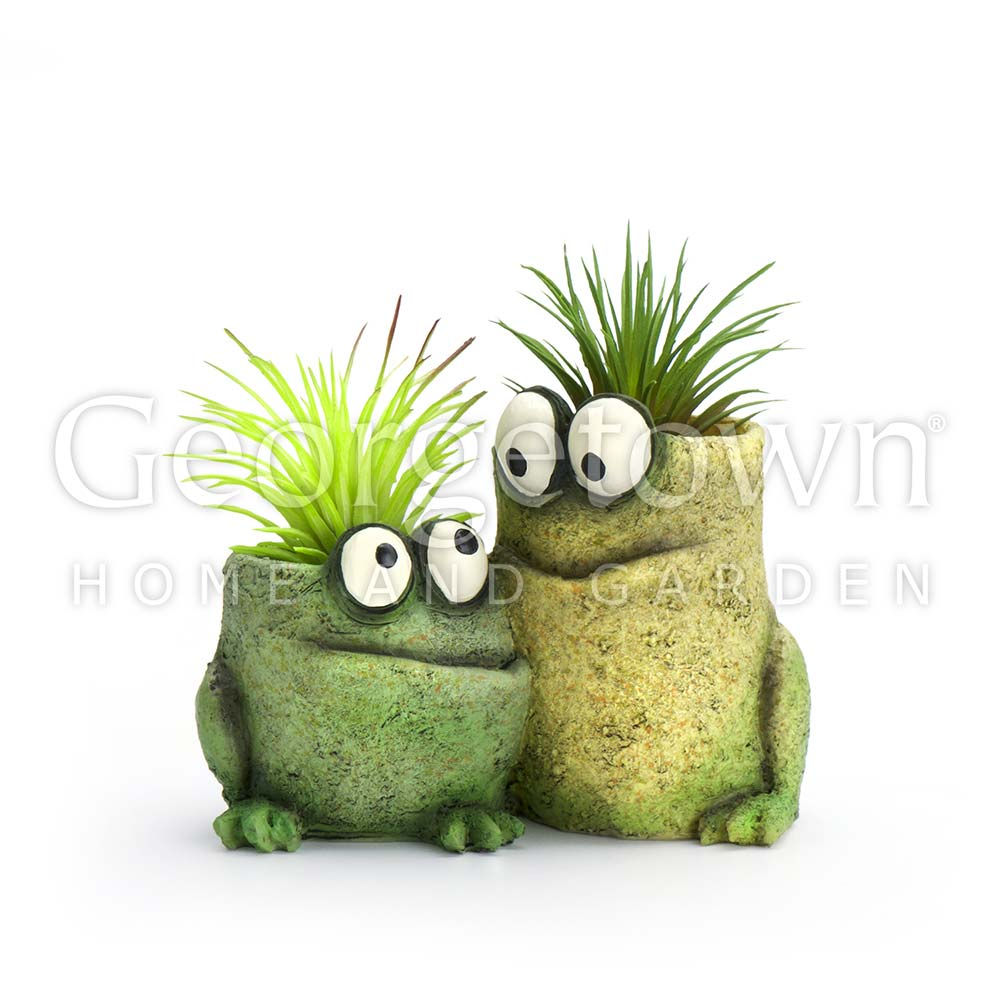 Baby Frog Pals