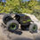 Thumbnail: AXI00003 AX24 XC-1 4WS Crawler Brushed 1/24