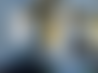 free-gutter-assessment-cedar-park-residential-home