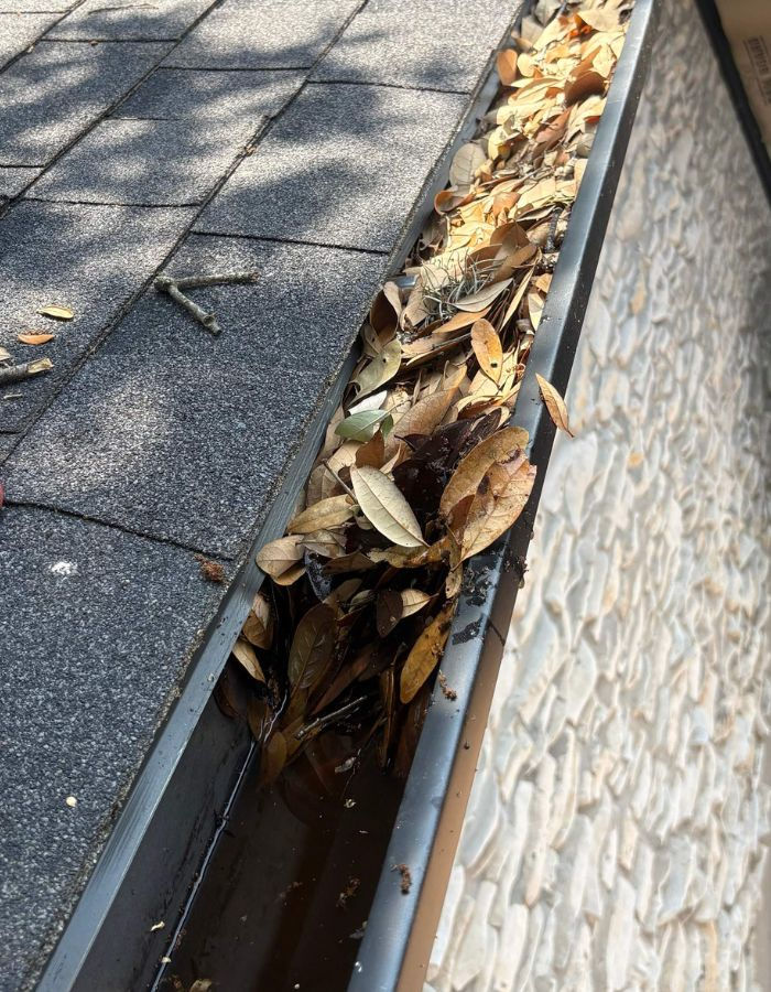 Who Offers Professional Gutter Cleaning Services in Austin?