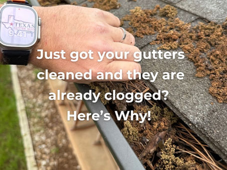 Just Got Your Gutters Cleaned and They Are Already Clogged? Here’s Why!