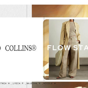 Group project Eco Collins Case Study