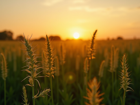 Tendencias Agrícolas en Soja, Maíz y Más