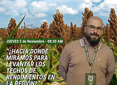 Espacio Sorgo.jpg