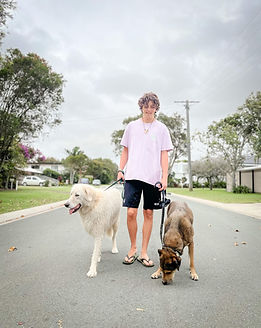 Dog walking service