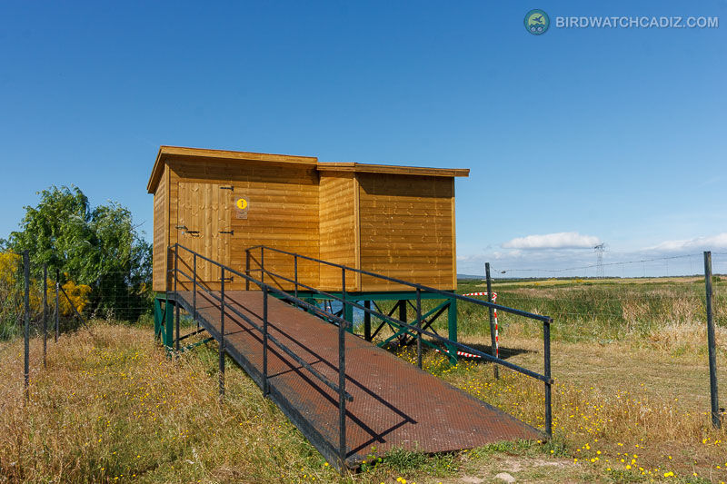 Wooden birdwatching hut with a metal ramp in a grassy field under a clear blue sky.