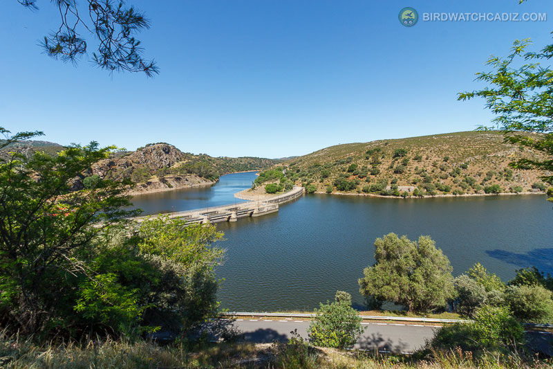 Reservoir with a curving dam/bridge between rocky hills and trees under a clear blue sky.