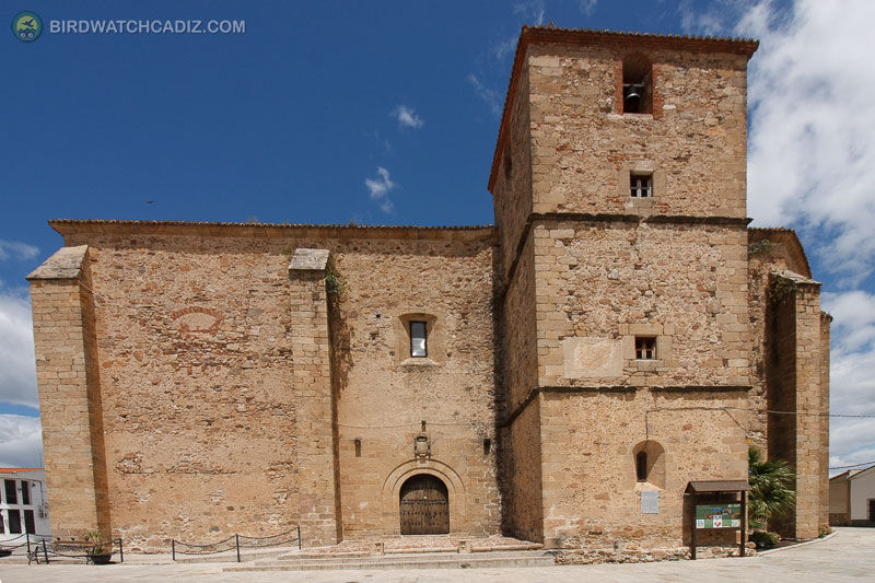 Stone church-like building with tower under blue sky.