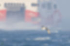 Shearwater in front of a ferry