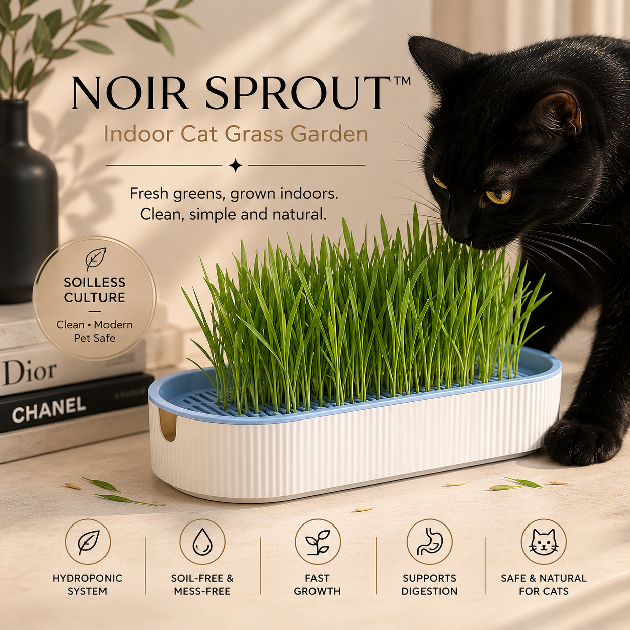 NOIR SPROUT™ Fresh Greens for Refined Cats