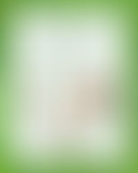 Harper’s Choice Community Association Election Festival