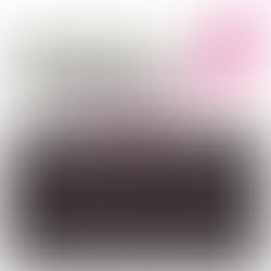 Komen Maryland Race for the Cure