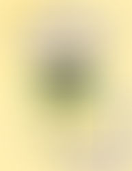 Beale Street Puppets Dig Those Dinos!