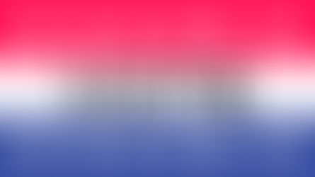 2022 Harper’s Choice Village Elections