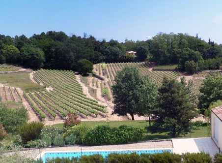 Notre chambre d'hôtes l'Acampadis Sud Ardèche photo prise par un drône. on voit les vignes qui nous entourent