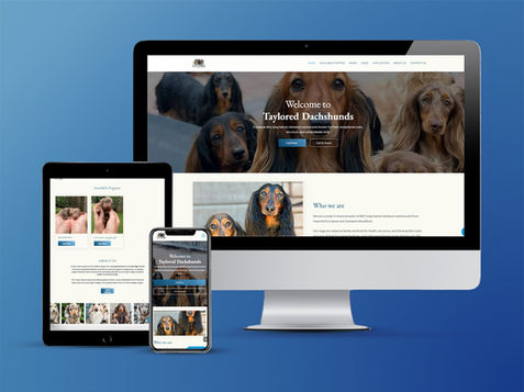 Taylored Dachshunds website shown on desktop, tablet, and phone.