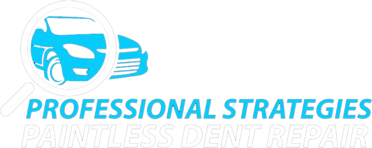 Professionl Strategies PDR