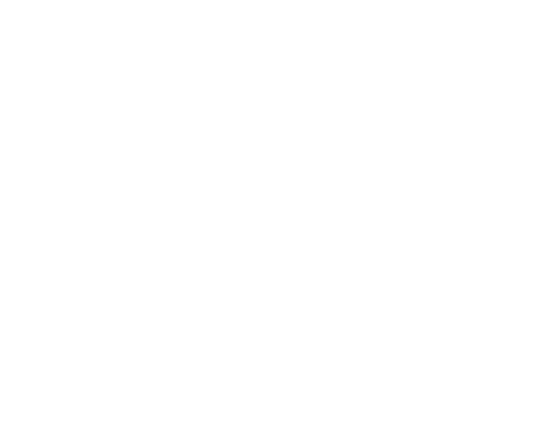 Exclusice Fencing Construction