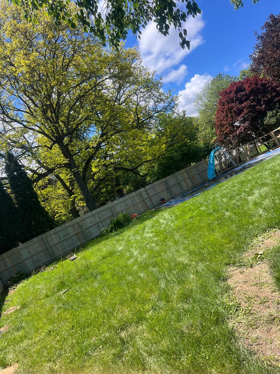 black-aluminum-fence-backyard (2).jpeg