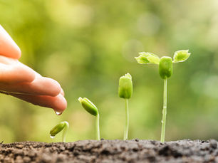 新団体「FLAT・ふらっと」のご紹介