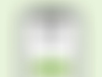 Using the Merlin App