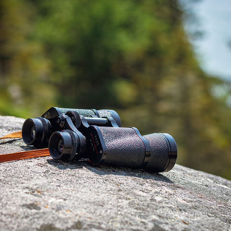 A newcomer to BTO surveys