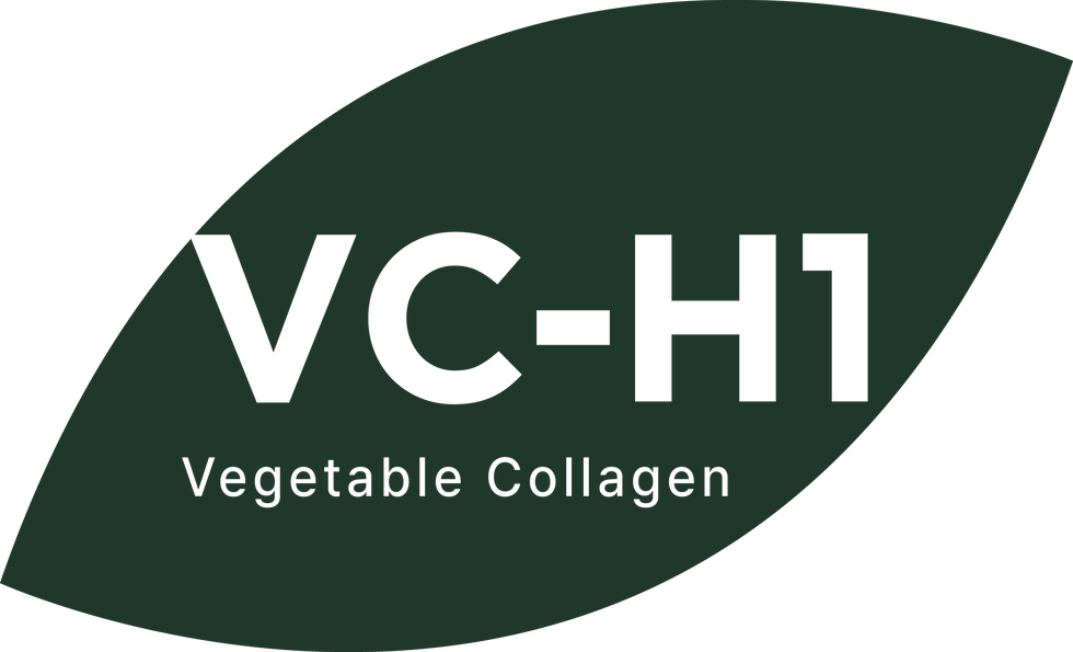 VC-H1_로고_outline_1개(R삭제).png