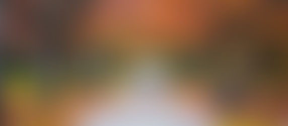 Desprendido de sí y de sus cosas