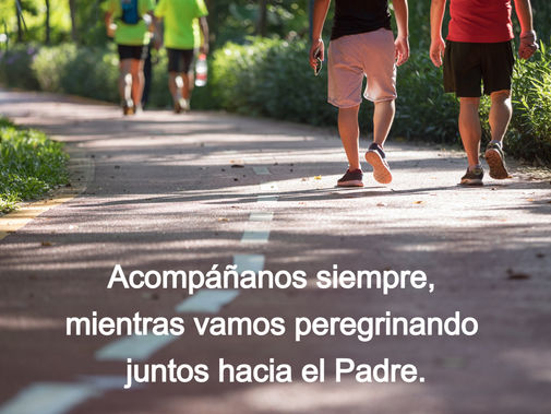 Acompáñanos siempre, mientras vamos peregrinando juntos hacia el Padre.