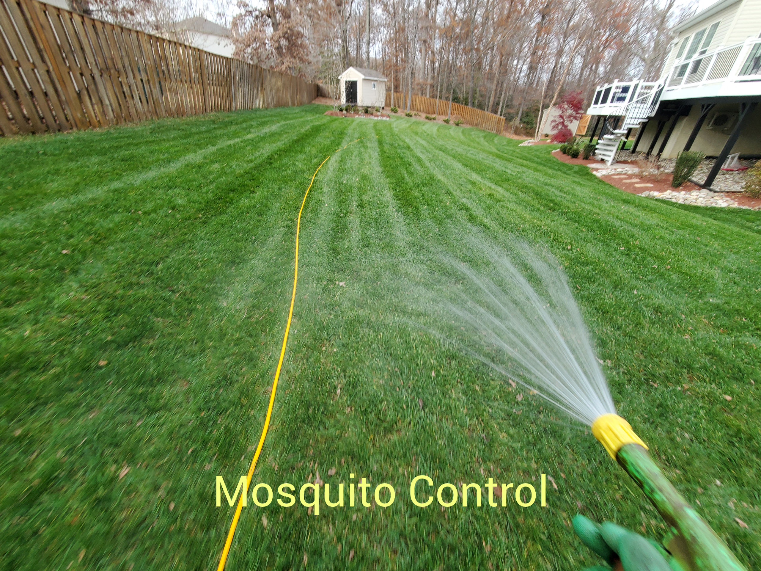 Mosquito Control