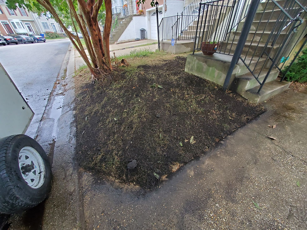 Thumbnail: Compost & Top Soil