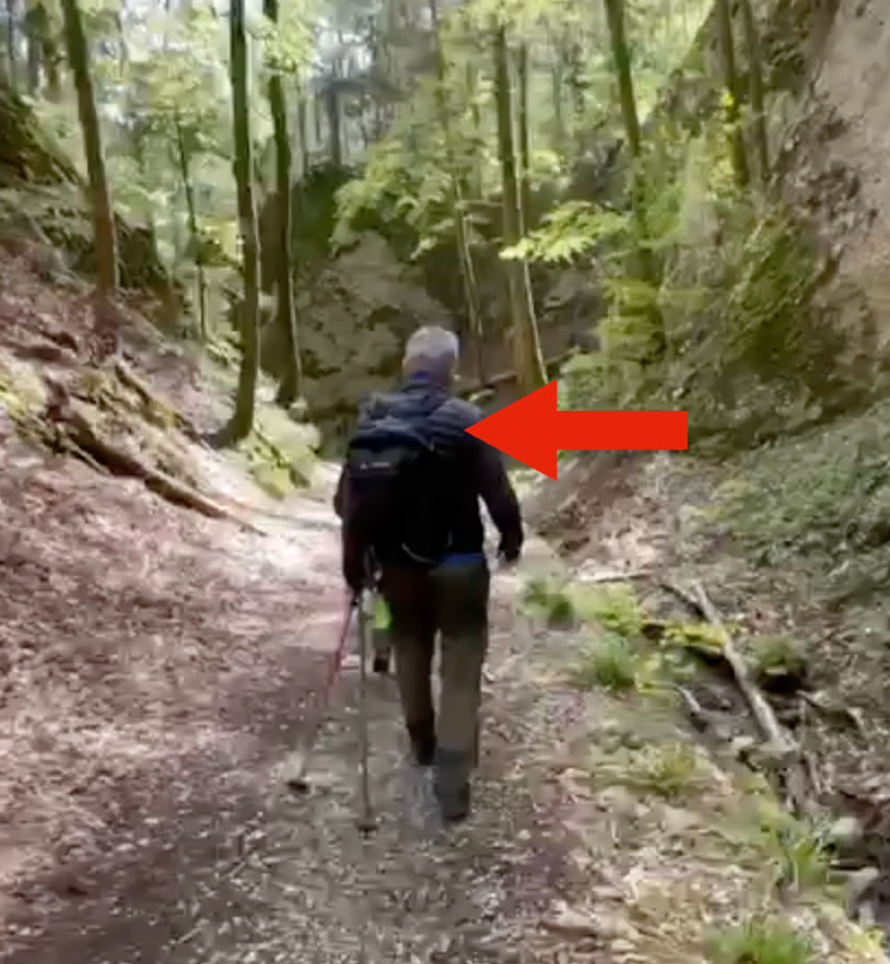 Sac à dos mal ajusté, homme, forêt