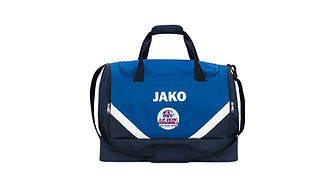 La vène handball sac de sport.jpg