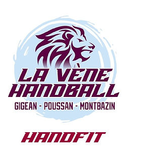 Image de garde Handfit La Vène Handball.jpg