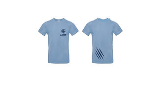 La vène handball lifestyle t-shirt.jpg