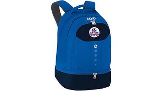 La vène handball sac à dos.jpg