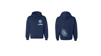 La vène handball lifestyle sweat à capuche.jpg