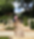 Create Landscapes Architects Justin Noacco Bulli walk up