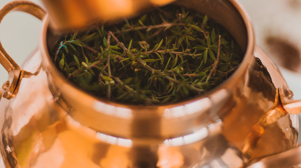 Manuka leaves in our copper testing still